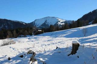 Wohnung kaufen in Beim Dannelar 10, 87534 Oberstaufen, Von privat - einzigartige Gelegenheit - 4 Zimmer mit unverbautem Hochgratblick am Rand von Steibis