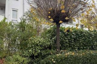 Wohnung mieten in Theodor-Heuss-Straße, 79539 Lörrach, Helle 2-Zimmer-Wohnung in Lörrach-Tumringen