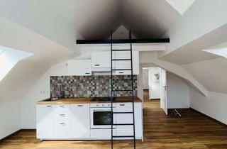 Wohnung mieten in 94032 Altstadt, Wunderschön sanierte Dachgeschoss Wohnung in der Altstadt