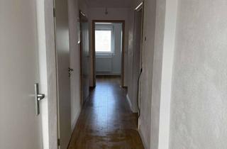Wohnung mieten in 76887 Bad Bergzabern, 3 Zimmer-Wohnung (Erstbezug nach Sanierung) in einer ruhigen Sackgasse sucht neue*n Bewohner (m/w/d)