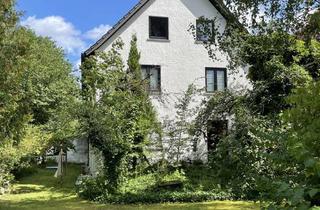 Wohnung mieten in 93142 Maxhütte-Haidhof, Neu renovierte Erdgeschoßwohnung mit Terrasse und Gartenanteil