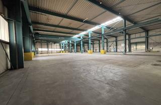 Gewerbeimmobilie mieten in Erfurter Straße 10, 99734 Nordhausen, Bis zu 30% Subvention bei Produktionsansiedlung - 500-11.000 m² Produktionshallen zu vermieten