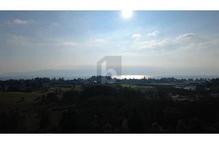 Wohnung kaufen in 88131 Bodolz, BEGEHRTE LAGE, HOCHWERTIG, MIT TOLLER SICHT