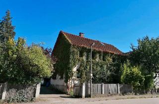 Einfamilienhaus kaufen in 91747 Westheim, Westheim - Einfamilienhaus mit Garten