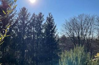 Penthouse kaufen in Tal, 80992 München, München - Penthouse-Wohnung in München - sonnig, ruhig, Toplage - WG