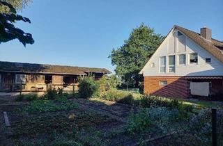 Haus kaufen in 21438 Brackel, Brackel - *Provisionsfrei* Haus mit 2 Wohnungen, Pferdestall, Nebengebäude