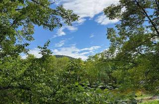 Wohnung kaufen in 53474 Bad Neuenahr-Ahrweiler, Bad Neuenahr-Ahrweiler - Lichtverwöhnte, urbane Stadtwohnung mit Süd-Balkon in beliebter Ahrlage von Bad Neuenahr!