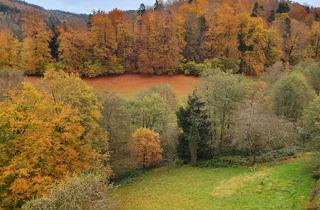 Wohnung kaufen in 76332 Bad Herrenalb, Attraktive lichtdurchflutete Maisonette-Wohnung
