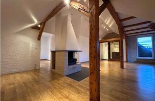 Loft kaufen in Husarenstraße, 38124 Braunschweig, Lichtdurchflutetes Dachloft mit Balkon und Blick über das Östliche Ringgebiet mit Stellplatz, Kamin