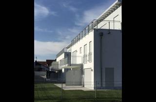 Wohnung mieten in Maximilianstraße 69a, 85399 Hallbergmoos, Neuwertige 2 Zimmer Wohnung mit Dachterrasse in Hallbergmoos