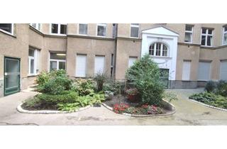 Wohnung mieten in Brüsseler Str. 51, 13353 Wedding, Schöne 1-Zimmer-Wohnung im beliebten Brüsseler Kiez !