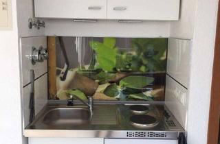 Wohnung mieten in Lortzingstrasse 58, 68169 Neckarstadt, Charmantes 1-Zimmer Dachgeschoss-Apartment in Mannheim-Neckarstadt-West