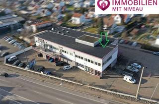 Büro zu mieten in 89415 Lauingen, 171m2 = 171 Möglichkeiten! Repräsentative Praxis- oder Büroräume in Bestlage von Lauingen!