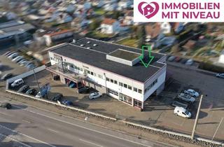 Büro zu mieten in 89415 Lauingen, 171m2 = 171 Möglichkeiten! Repräsentative Praxis- oder Büroräume in Bestlage von Lauingen!