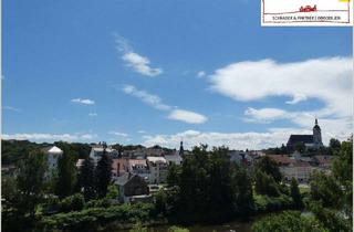 Wohnung mieten in 09322 Penig, Kinder + Haustiere willkommen: großzügiges DG, hell, sonnig, toller Blick mit schönem Mietergarten