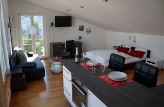 Wohnung mieten in Stumpfenbacherstraße 48, 85250 Altomünster, Möblierte 1,5-Zimmer Dachterrassenwohnung in Altomünster