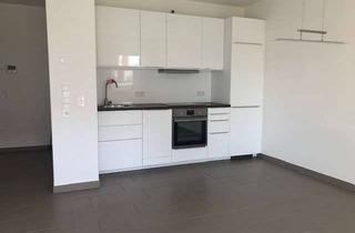 Wohnung mieten in Christoph-Von-Schmid-Straße 12b, 89407 Dillingen, Helle 2-Zimmer-Wohnung im Herzen von Dillingen an der Donau