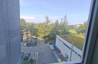 Wohnung mieten in Käthe-Kollwitz-Straße 10, 66955 Pirmasens, 2 Zimmer Wohnung in Pirmasens ruhbank