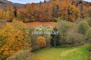 Wohnung kaufen in 76332 Bad Herrenalb, Attraktive lichtdurchflutete Maisonette-Wohnung