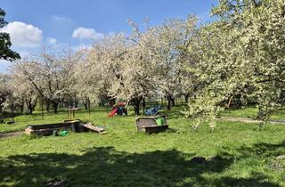 Haus kaufen in 16945 Meyenburg, Ihr Wohn- und/oder Gewerbe(t)raum steht für Sie bereit! 3 Einheiten mit Riesengrundstück