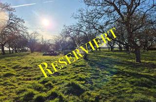 Haus kaufen in 16945 Meyenburg, Gravierende Preissenkung! Ihr Wohn- und/oder Gewerbe(t)raum! 3 Einheiten + riesiges Grundstück