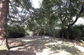 Haus kaufen in Felbergstraße, 63165 Mühlheim, Luxuriöses 6-Zimmer Haus in Mühlheim am Main mit großem Grundstück