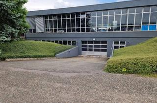 Gewerbeimmobilie mieten in Neulandstraße, 77855 Achern, Tiefgarage / Halle in einem Autohaus, ca. 465 qm