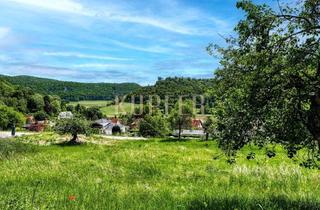 Grundstück zu kaufen in 91346 Wiesenttal, Premium-Grundstück mit unverbaubarem Ausblick, vollerschlossen!