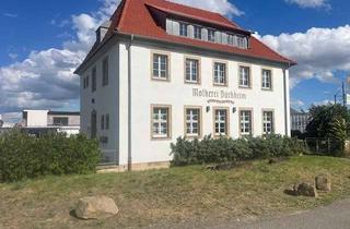 Büro zu mieten in Gutleutstrasse 52, 67098 Bad Dürkheim, Repräsentatives Büro mit Blick zur Saline und auf den Weinberg