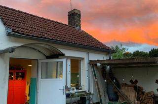 Bauernhaus kaufen in 14827 Wiesenburg, Wiesenburg/Mark - Bauernhaus Hof Häuschen Bauernhof Gemeinschaft Land Landhaus