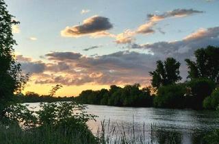 Haus kaufen in 68535 Edingen-Neckarhausen, Edingen-Neckarhausen - Wohn- u. Geschäftshs. mit Scheune u. Hinterhaus zum Neckar in Edingen - 60003985