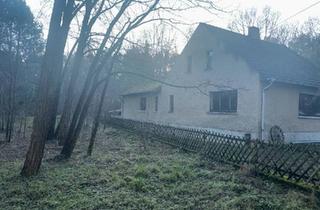 Einfamilienhaus kaufen in 15838 Am Mellensee, Am Mellensee - Haus im Wald zu verkaufen - Paradies für Naturliebhaber