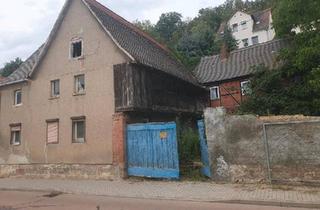 Einfamilienhaus kaufen in 06667 Weißenfels, Weißenfels - Einfamilienhaus mit Garage