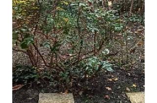 Wohnung kaufen in 10825 Berlin, Berlin - Schöne ruhig u. zentrale 3,5 Zimmerwhg. mit Garten U.Terrasse