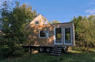 Loft kaufen in 09306 Rochlitz, Rochlitz - Tinyhouse mit Stehhöhe im Loft,
