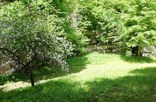 Haus kaufen in 01069 Dresden, Dresden - Grundstück in Porschdorf bei Bad Schandau