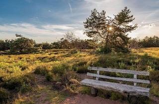 Wohnung kaufen in 01454 Radeberg, Highlightwohnung an der Heide-2 Balkone, 1 Terrasse & eigener Garten!
