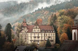 Wohnung kaufen in Im Dorf 44a, 77787 Nordrach, Nordrach "Schloss Rothschild": Weidenpanorama