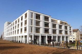 Wohnung mieten in 93053 Galgenberg, 1-Zimmer-Appartement der Extraklasse in Uninähe!