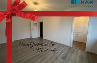 Wohnung mieten in Hoeckerstr., 45143 Altendorf, 1 Zimmer Wohnung in Essen Altendorf!