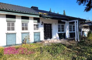 Wohnung mieten in Moldaustraße 24, 35260 Stadtallendorf, Exklusive und großzügige 3 Zimmer Wohnung mit Garten, sofort frei