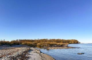 Wohnung mieten in 24395 Niesgrau, Möblierte 2-Zimmer Wohnung mit Garten unweit der Ostsee