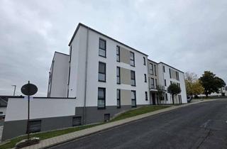 Wohnung mieten in Robert-Koch-Straße 7a, 65604 Elz, Luxuriöse 2-Zimmer Wohnung mit Terrasse und Garten in Elz-Süd