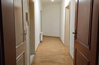 Wohnung mieten in Prenzlauer Berg, 13187 Pankow, Charmante 2-Zimmer-Wohnung nahe Prenzlauer Berg, sucht nette Untermieter*innen