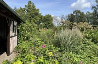 Haus kaufen in Hörn 5A, 24306 Bösdorf, Natürliche Tiny Häuser zur Eigennutzung/als stbg. Kapitalanlage im idyllischen Kleinmeinsdorf