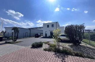 Villa kaufen in Diamantstrasse 24, 65468 Trebur, Bauhausvilla für Gewerbetreibende / Selbstständige