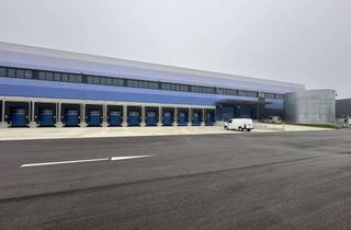 Gewerbeimmobilie mieten in 89129 Langenau, Halle - sofort verfügbar - 12 Meter Höhe - 17 Tore