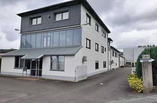 Gewerbeimmobilie kaufen in 61279 Grävenwiesbach, Logistikeinheit mit Verwaltungstrakt langfristig an soliden Ankermieter vermietet