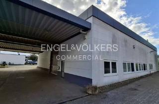 Gewerbeimmobilie mieten in 29227 Celle, Produktions- Lagerhalle in Celle