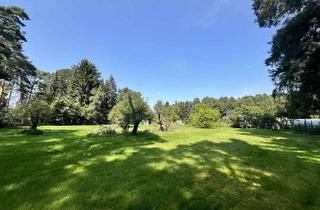 Grundstück zu kaufen in 16359 Biesenthal, Charmantes Grundstück ohne Abriss in beliebter Siedlung in Biesenthal